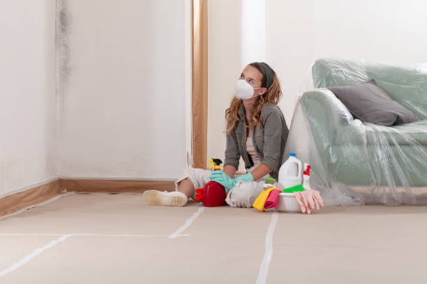 Reliable Mold Remediation contractor in Erie, CO by WQB Mold Removal